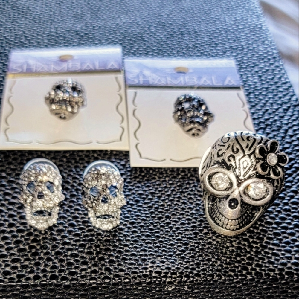 4 piece Skull Jewelry.